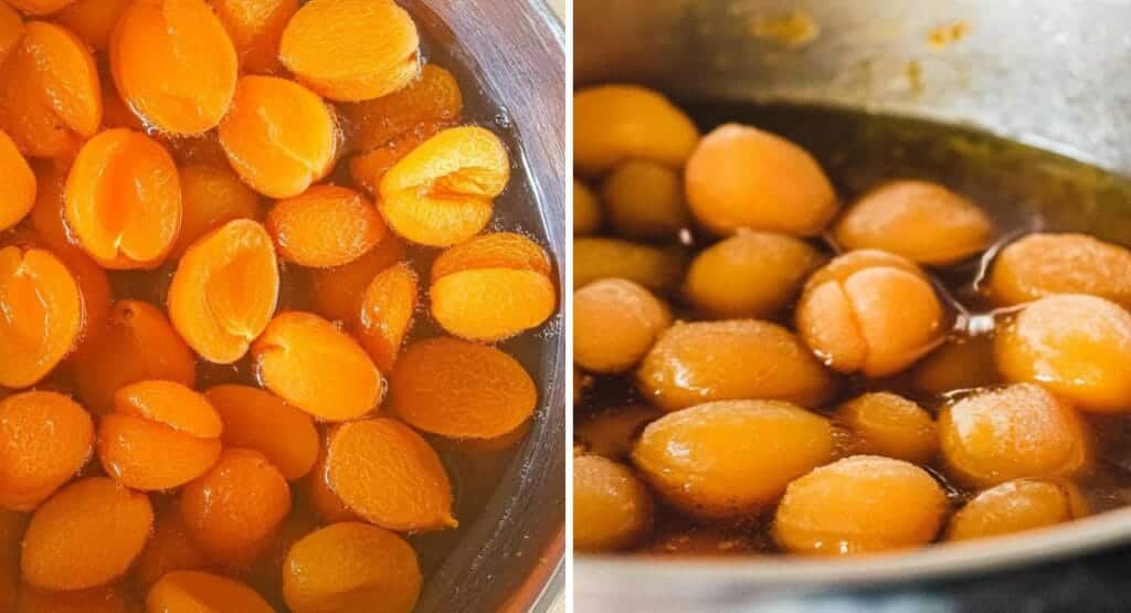 What to Make with Dried Apricots? Delicious Recipes & Expert Tips 2 dry apricot recipe