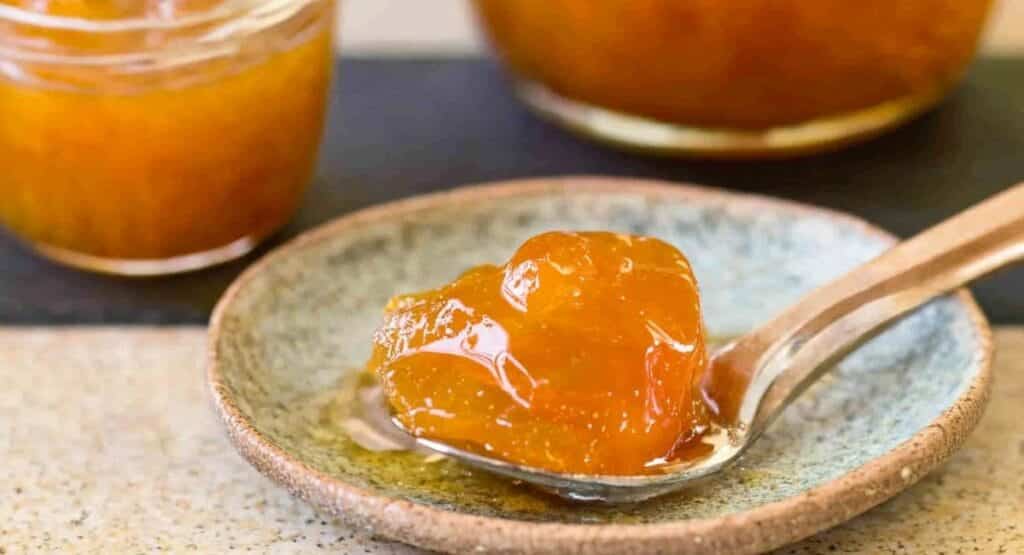 What to Make with Dried Apricots? Delicious Recipes & Expert Tips 4 dry apricot recipe 1 2