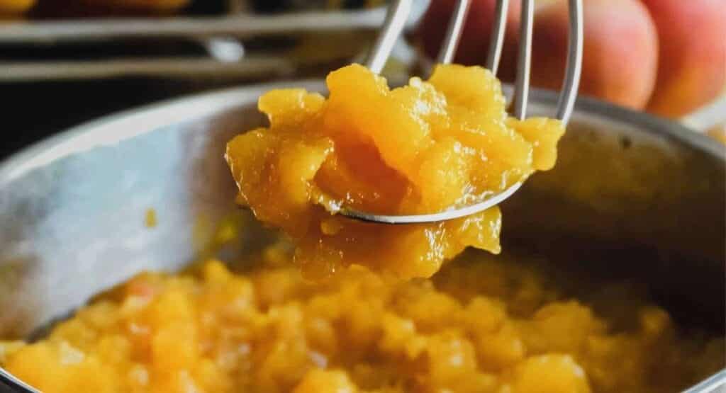 What to Make with Dried Apricots? Delicious Recipes & Expert Tips 3 dry apricot recipe 1 3
